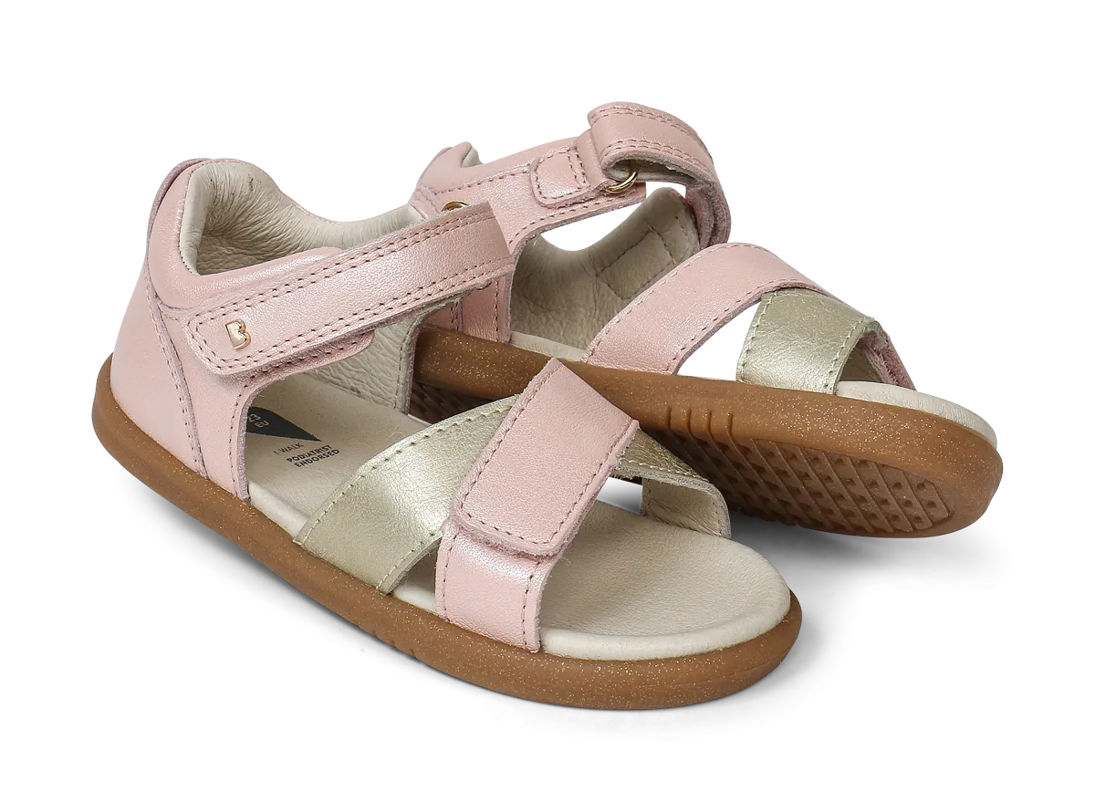 IW Sail Seashell   Gold