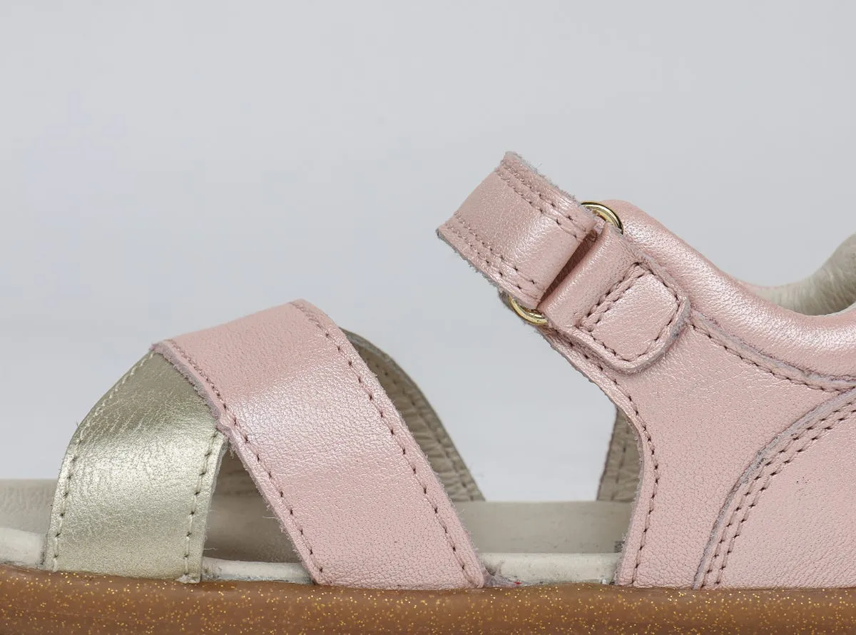 IW Sail Seashell   Gold