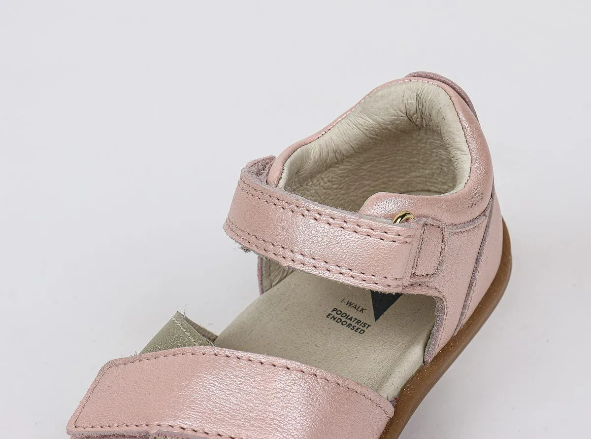 IW Sail Seashell   Gold