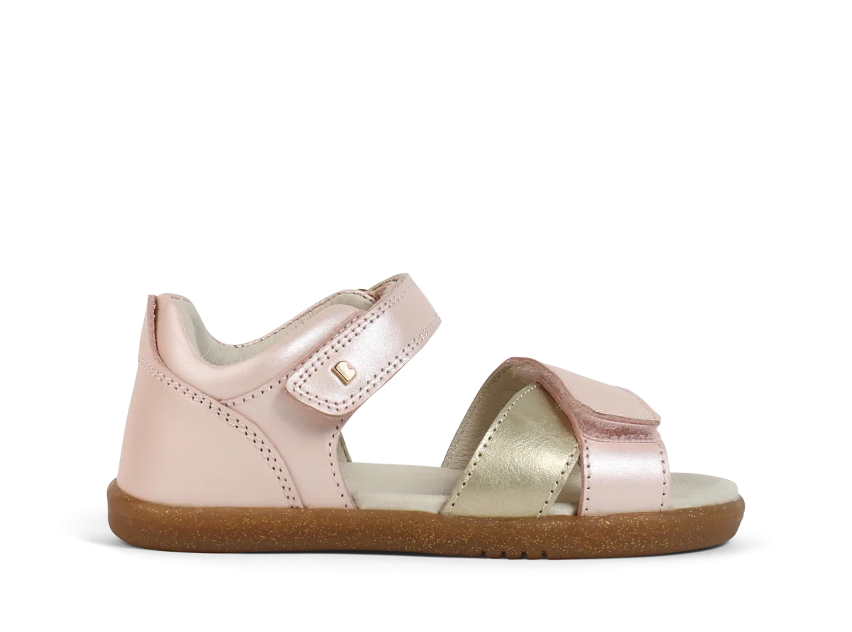 IW Sail Seashell   Gold