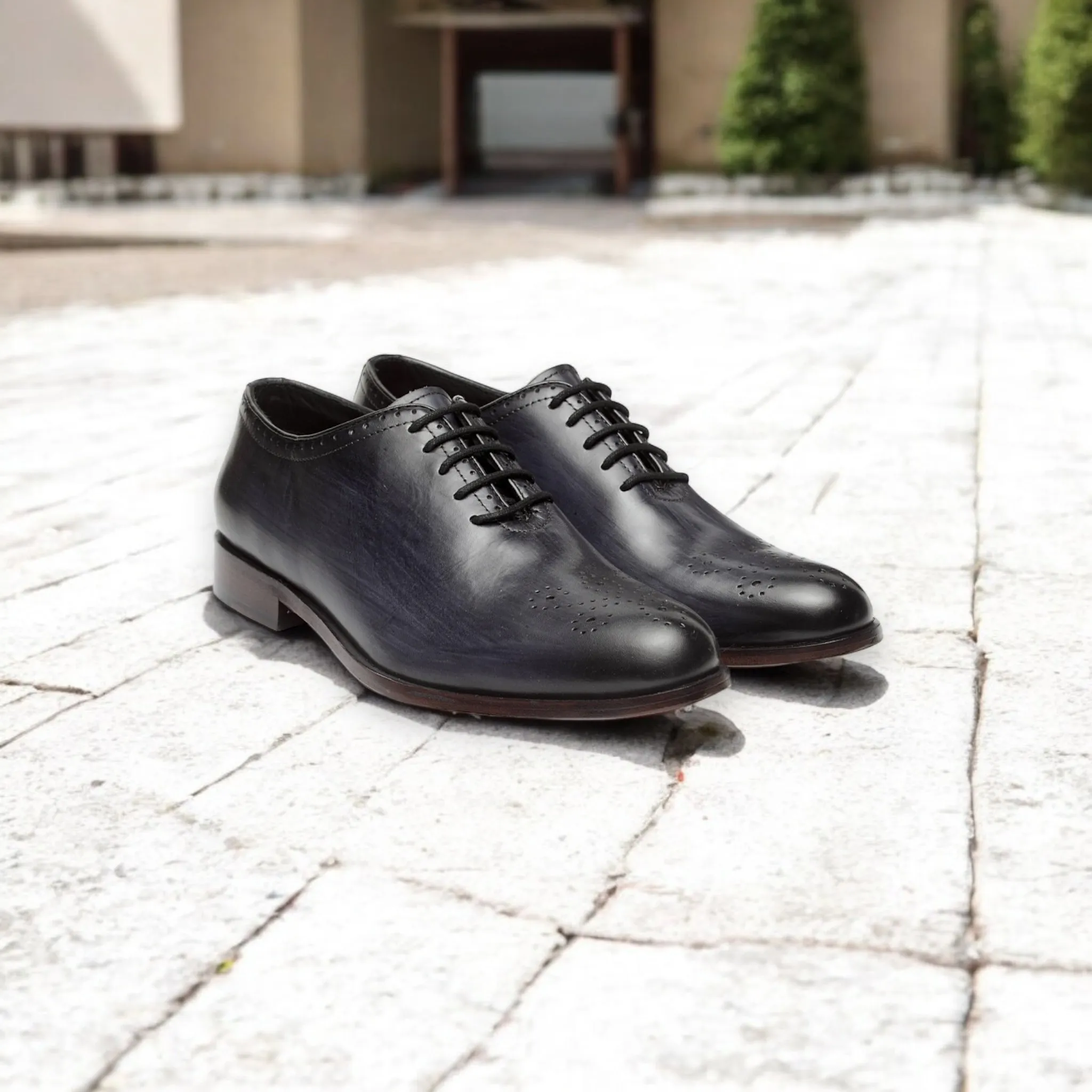 Noir Crest — Perforated Wholecut Oxford