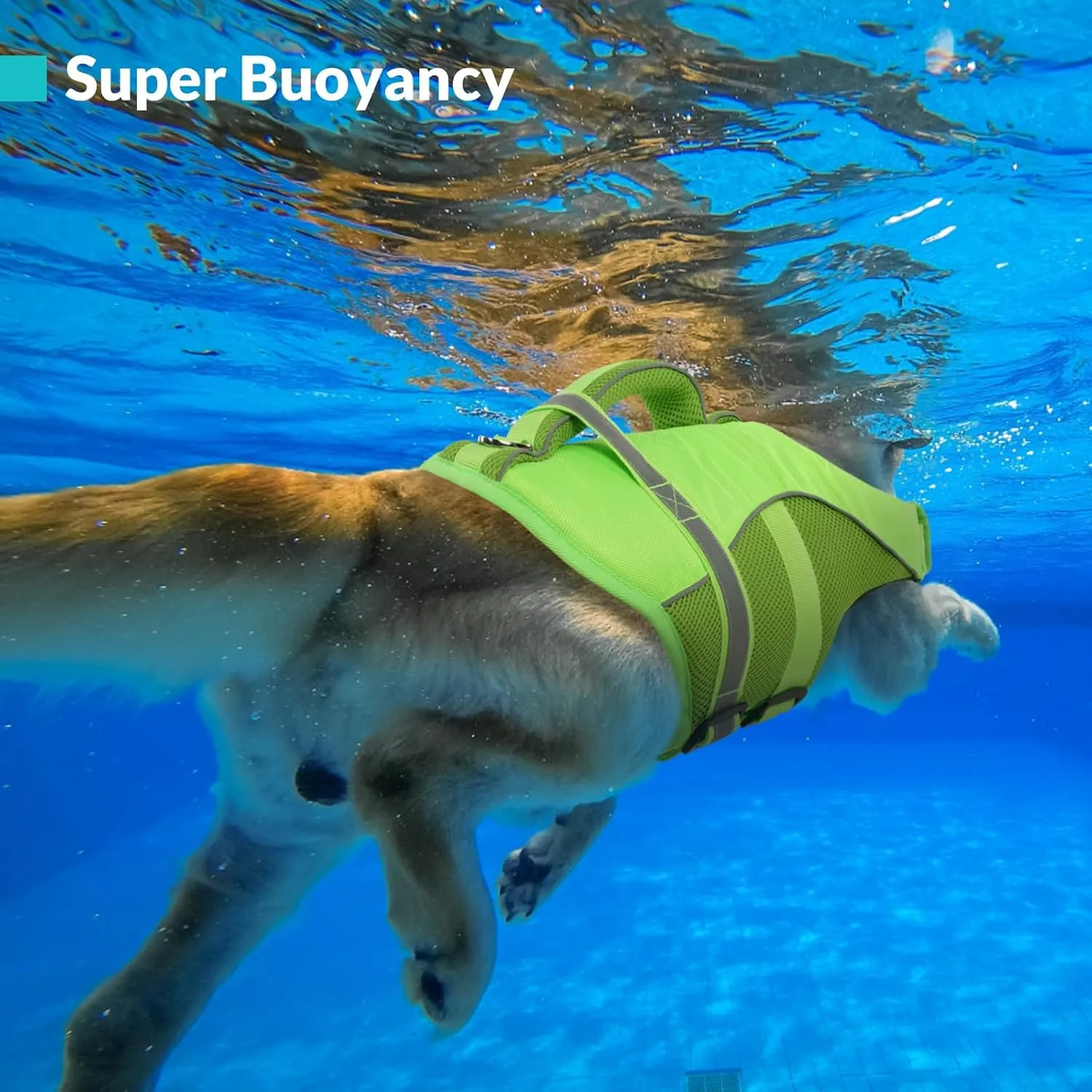 Queenmore Adjustable Ripstop Dog Life Vest for Swimming & Boating, Lifesaver with Superior Buoyancy & Rescue Handle, Green, M