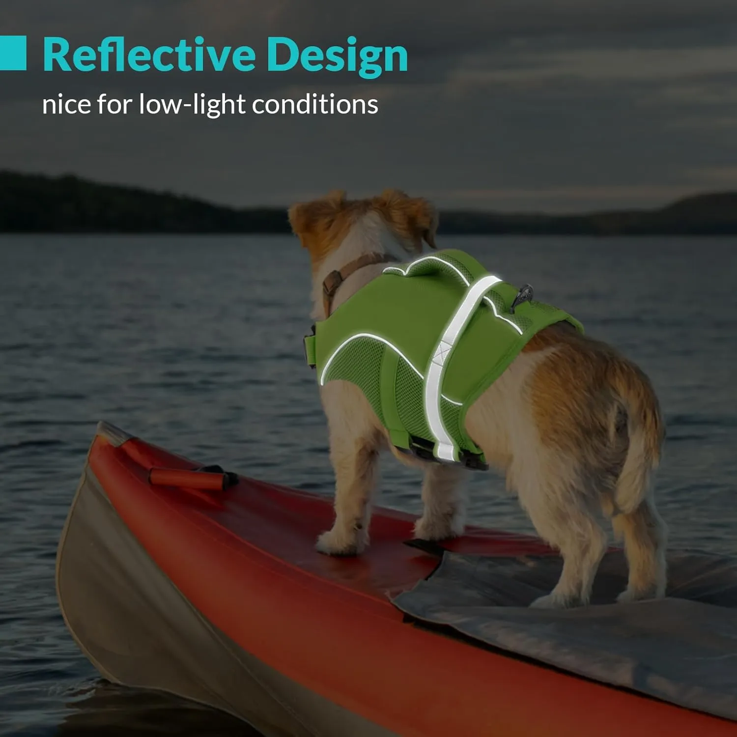 Queenmore Adjustable Ripstop Dog Life Vest for Swimming & Boating, Lifesaver with Superior Buoyancy & Rescue Handle, Green, M