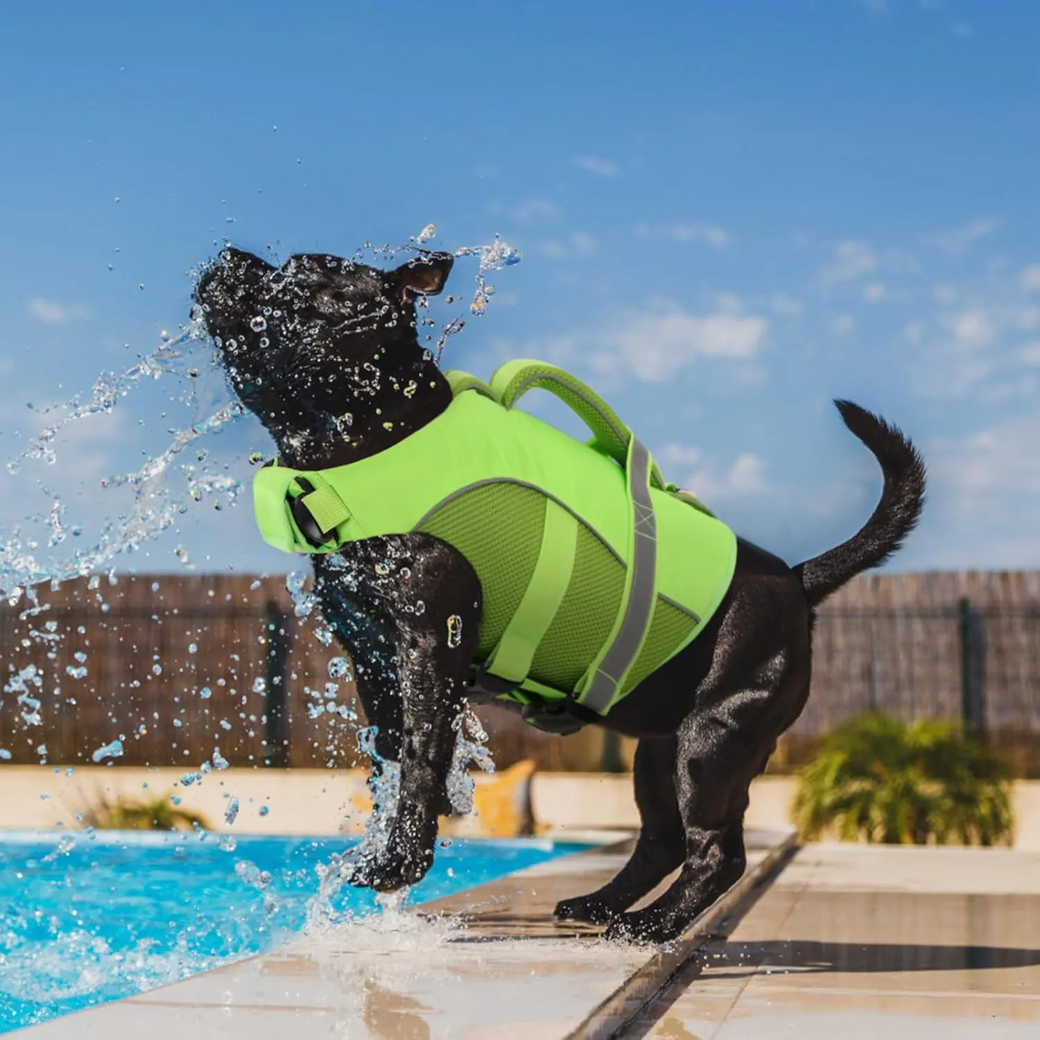 Queenmore Adjustable Ripstop Dog Life Vest for Swimming & Boating, Lifesaver with Superior Buoyancy & Rescue Handle, Green, M